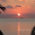 Avatar de Emilia Barrera